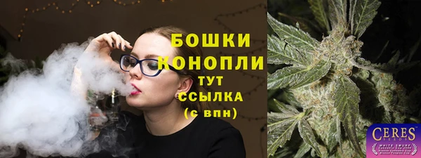 круглые Вяземский
