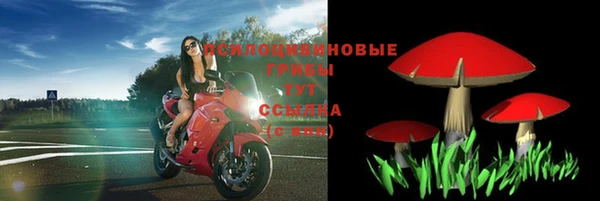 круглые Вяземский