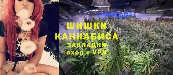 круглые Вяземский
