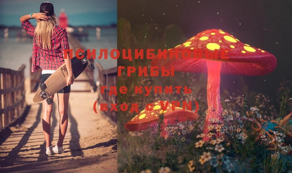 круглые Вяземский