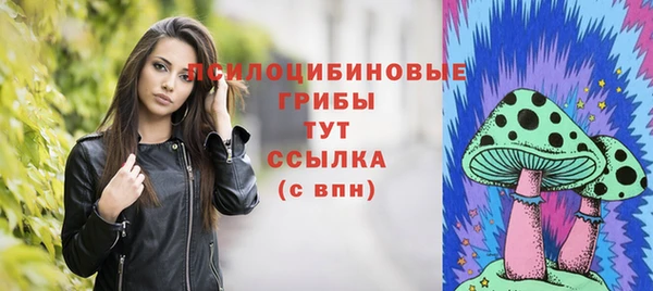 круглые Вяземский