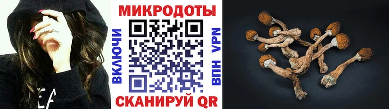 продажа наркотиков  KRAKEN зеркало  Псилоцибиновые грибы GOLDEN TEACHER  Альметьевск 